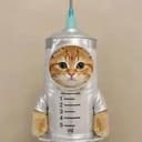 VACCAT