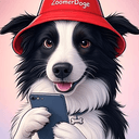 $ZOOMER