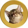 CATE