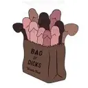 BAGOFDICKS
