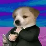 suitdog