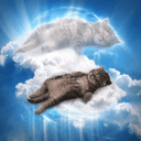 ascend