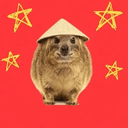 jafa
