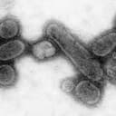 SpanishFlu