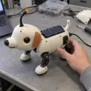 Rover
