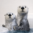 OTTERCTRL