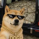 CASHDOG