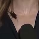 COCKROACH