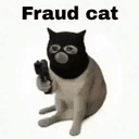 fraudcat