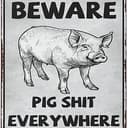 🐷💩