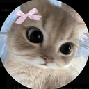 DailyMeow