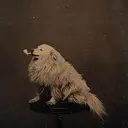 PipeDog