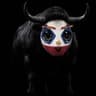 Bullitch