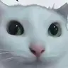 乐乐