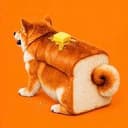 Bread shib
