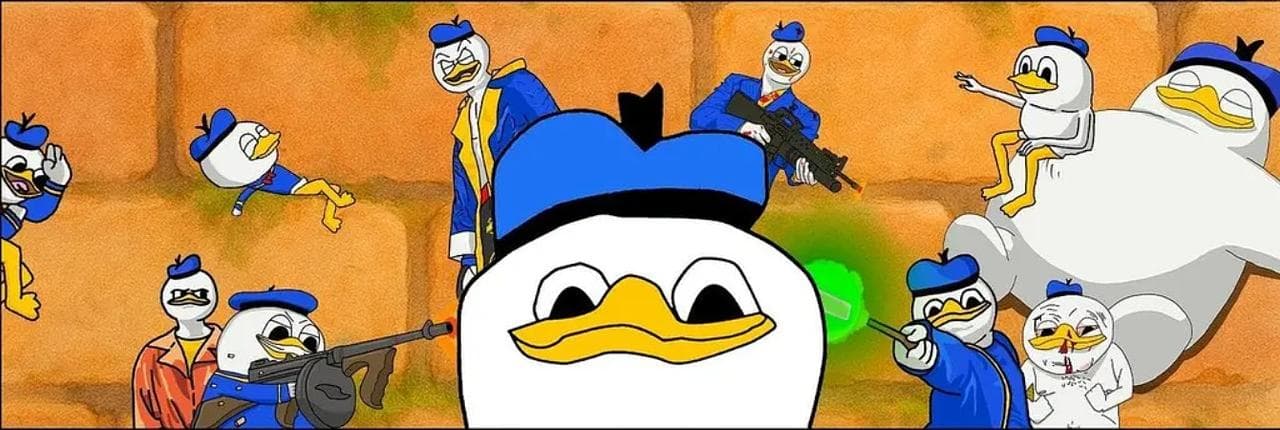 dolan Banner