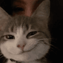 Smug