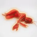 Lobster