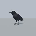 CROW
