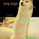 DOOOOOGE