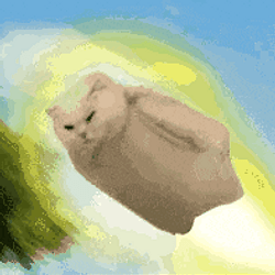 turbocat