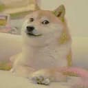 DOGE