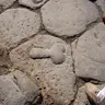 Crock