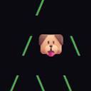doge