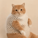 wCAT