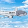 WhaleAir