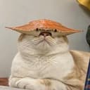 Crab