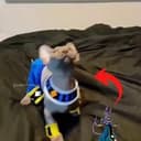 BEERUS