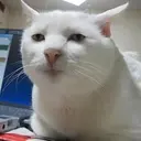 Serious