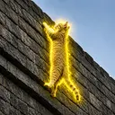 Dcat