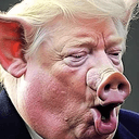 POTUS