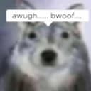 bwoof