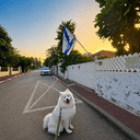 קוקו