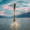 FORK