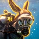 DONKEY