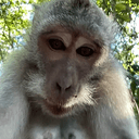 Selfie