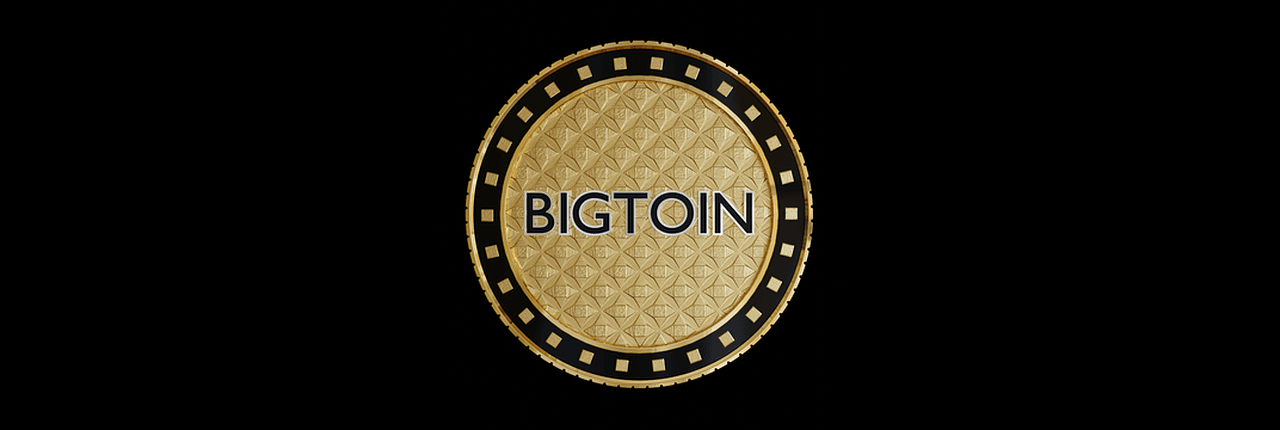 BIGTOIN Banner