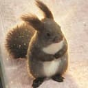 モモンガ