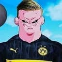 Holand mem