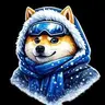 WinterDoge