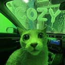 COZY