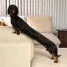 OSCAR
