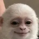 ALBERT