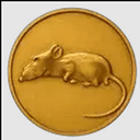 rat