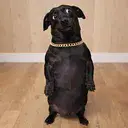Ben