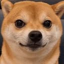 EVILSHIB
